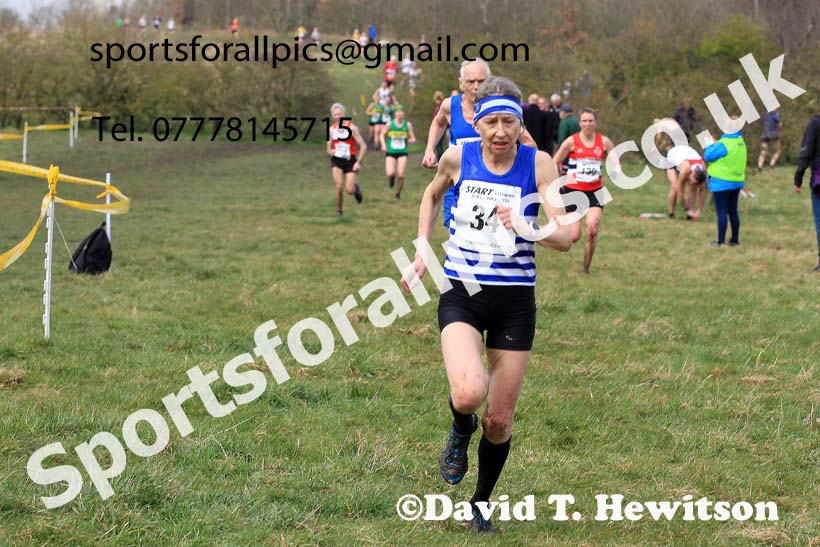Womens and Mens 65+ in the 2023 BMAF Cross Country Champs., Wallsend. Photo: David T. Hewitson/Sports for All Pics